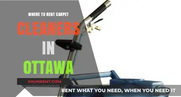 Where to Rent Carpet Cleaners in Ottawa: A Comprehensive Guide