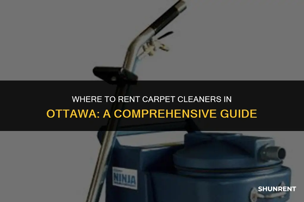 where to rent carpet cleaners in ottawa