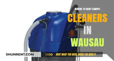 Where to Rent Carpet Cleaners in Wausau: Your Ultimate Guide