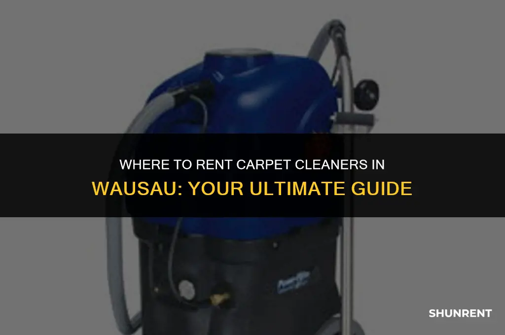 where to rent carpet cleaners in wausau