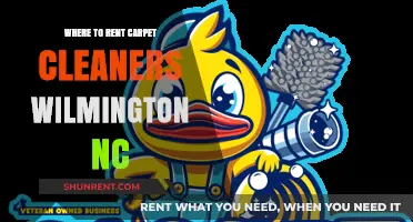 Wilmington NC Carpet Cleaner Rentals: Your Comprehensive Guide