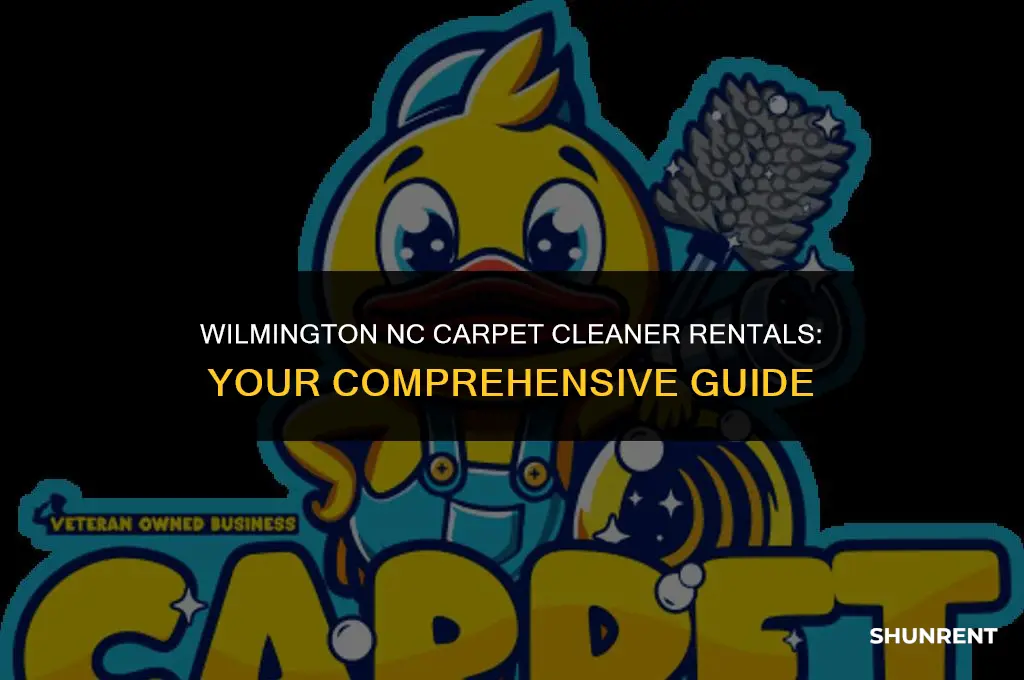where to rent carpet cleaners wilmington nc