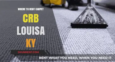 Where to Rent Carpet Cleaners in Louisa, KY: Top Options