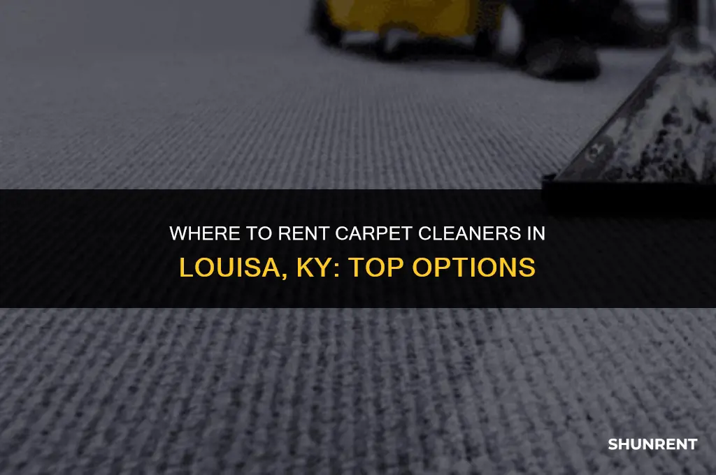 where to rent carpet crb louisa ky