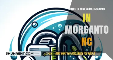 Carpet Shampoo Rentals in Morganton, NC: Your Ultimate Guide