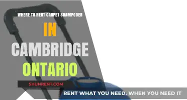 Rent Carpet Shampooers in Cambridge, Ontario: Top Local Options