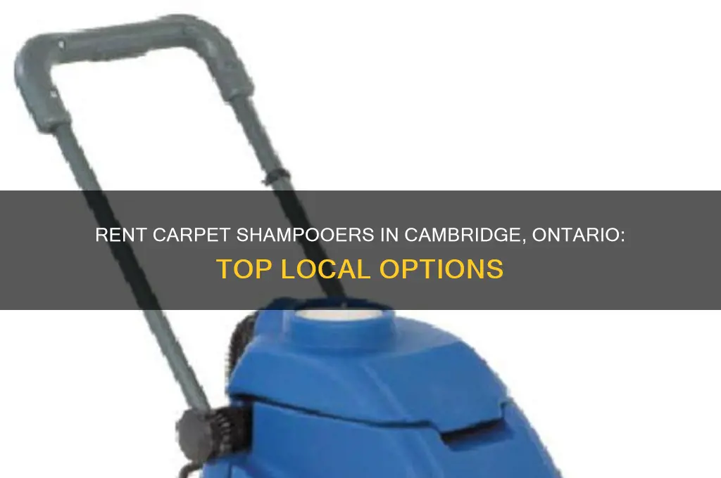 where to rent carpet shampooer in cambridge ontario