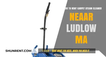 Top Spots to Rent Carpet Steam Cleaners Near Ludlow, MA