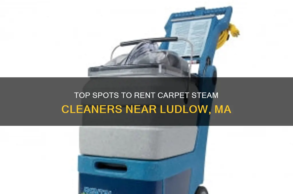 where to rent carpet steam cleaner neaar ludlow ma