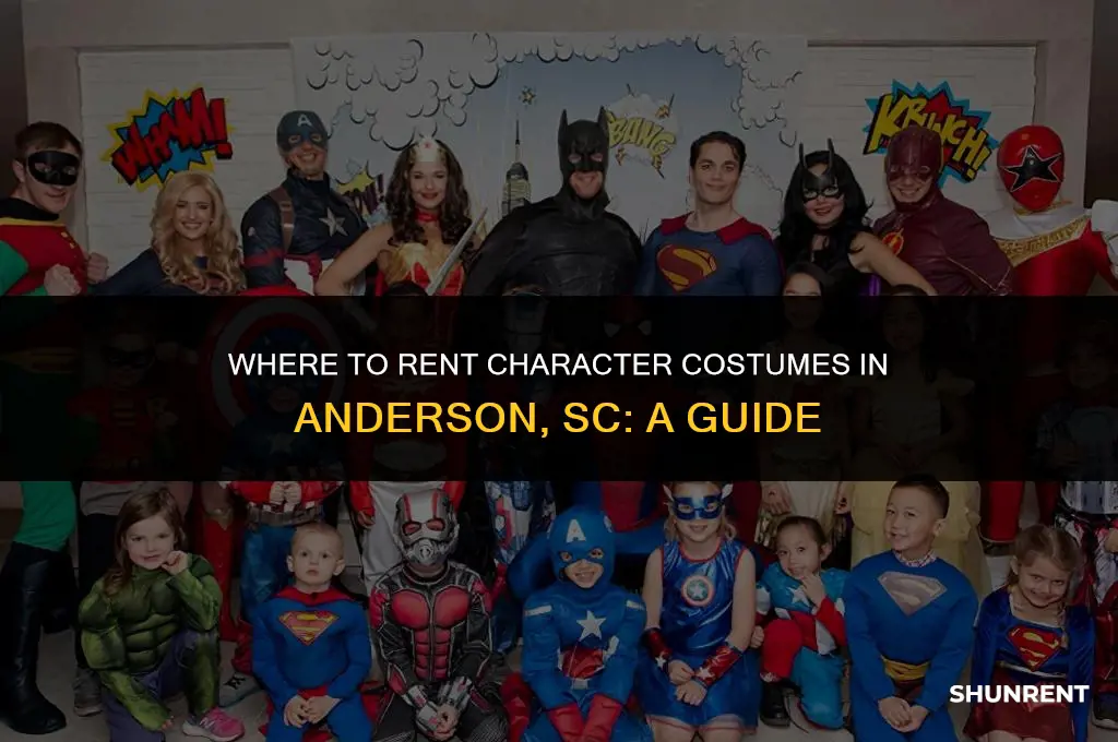 where to rent character costumes anderson sc