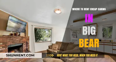 Affordable Big Bear Cabin Rentals: Top Spots for Budget Getaways