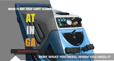 Affordable Carpet Cleaner Rentals in Georgia: Top Locations to Save Money