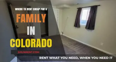Affordable Family Rentals in Colorado: Top Budget-Friendly Locations