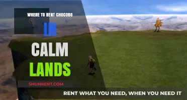 Exploring Calm Lands: Your Guide to Renting Chocobos