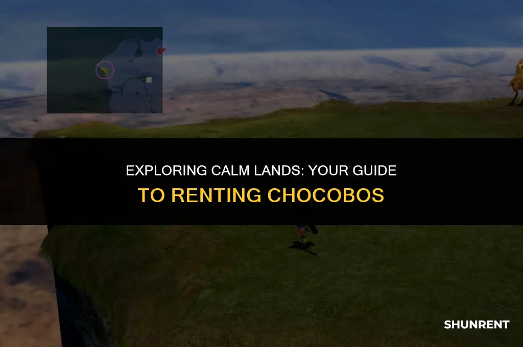 where to rent chocobo in calm lands