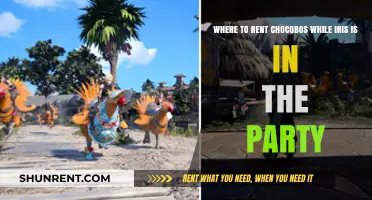 Renting Chocobos with Iris: Best Locations for Party Adventures