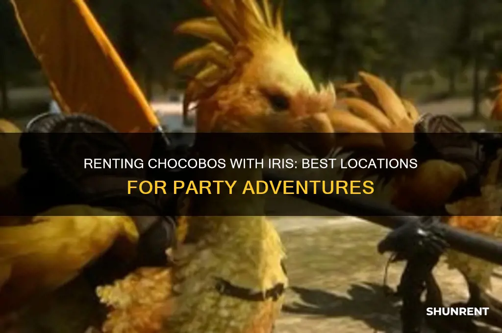 where to rent chocobos while iris is in the party