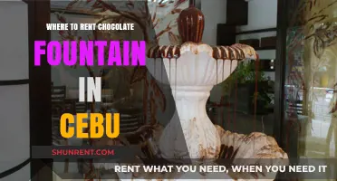 Sweeten Your Event: Top Chocolate Fountain Rentals in Cebu