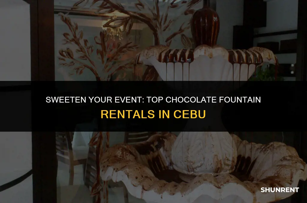 where to rent chocolate fountain in cebu