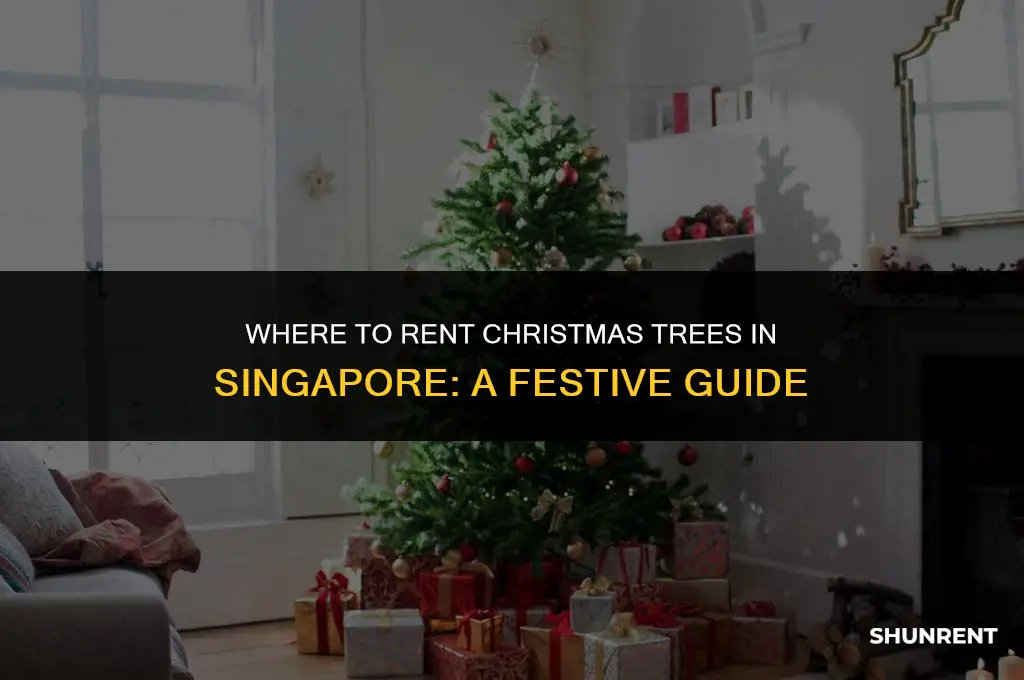 where to rent christmas tree in singapore