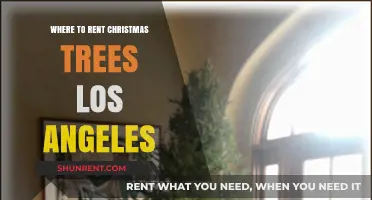 Where to Rent Christmas Trees in Los Angeles: A Festive Guide