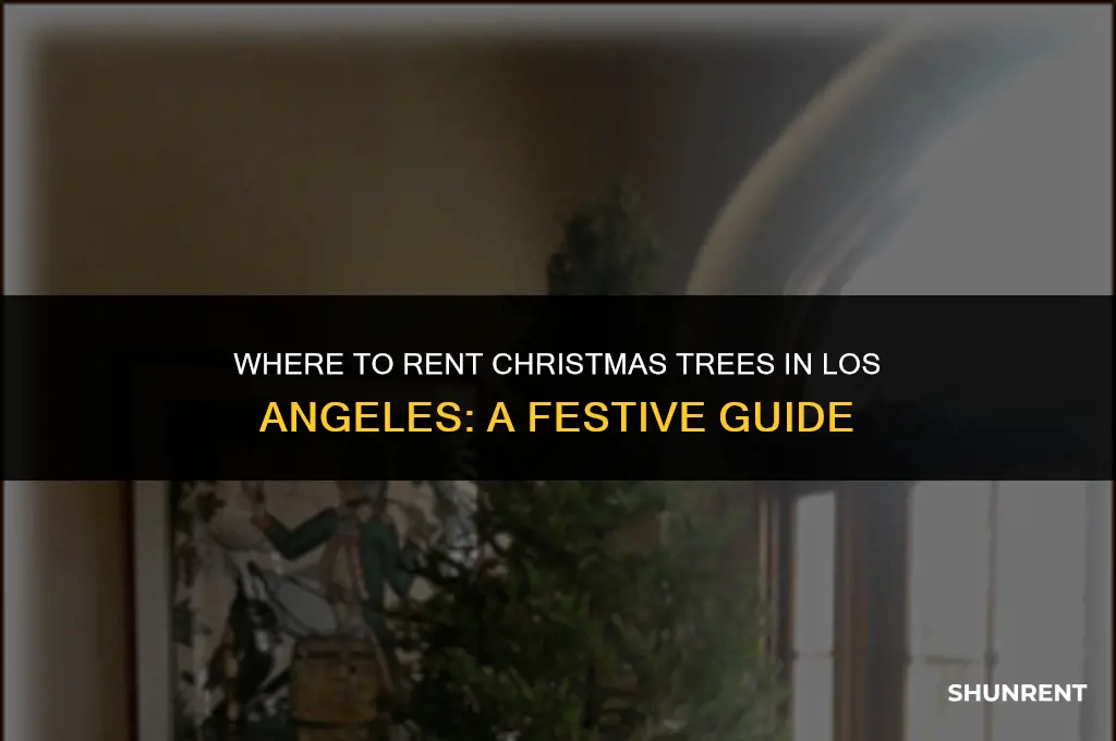 where to rent christmas trees los angeles