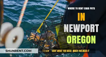 Rent Crab Pots in Newport, Oregon: Top Spots for Crabbing Gear
