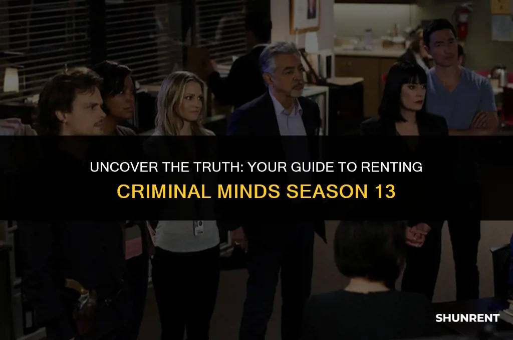 where to rent criminal minds season 13