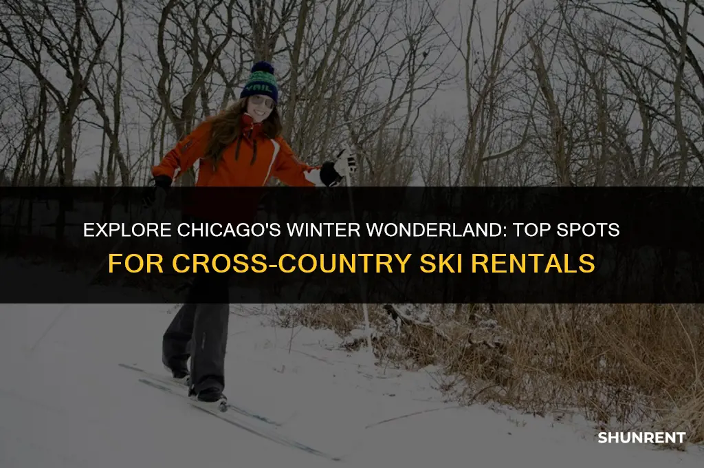 where to rent cross country skis chicago