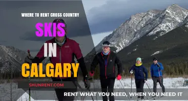Calgary's Best Cross-Country Ski Rental Spots: Your Winter Adventure Guide