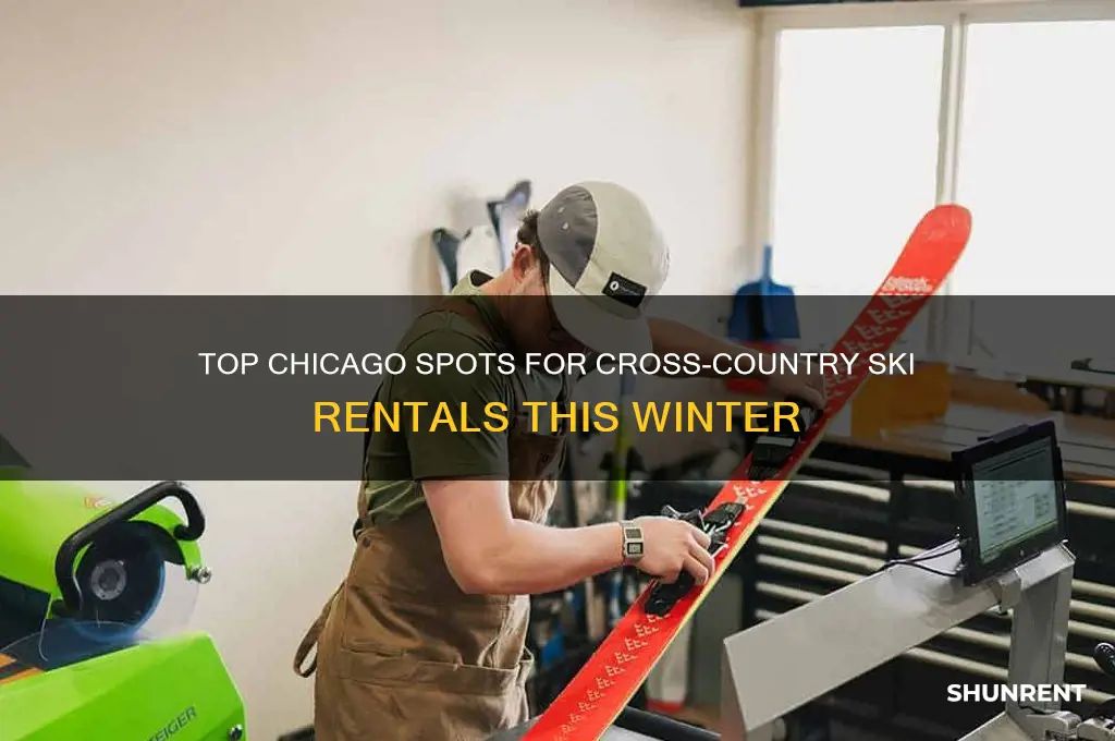where to rent cross country skis in chicago