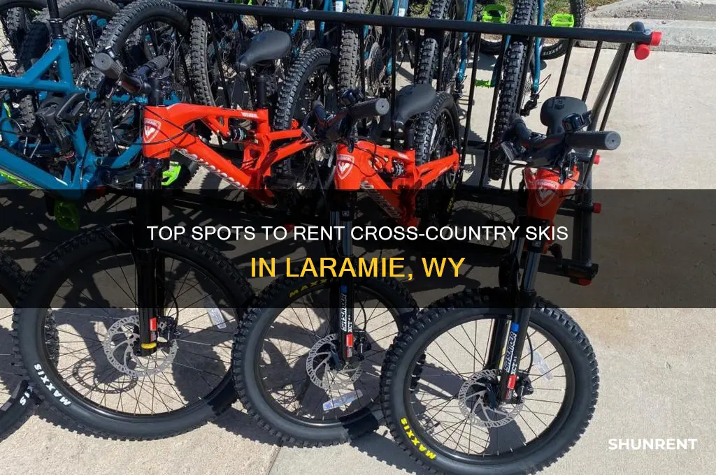 where to rent cross country skis in laramie wy