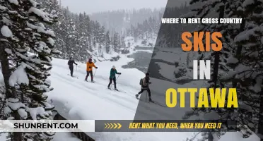 Top Ottawa Spots for Renting Cross-Country Skis This Winter