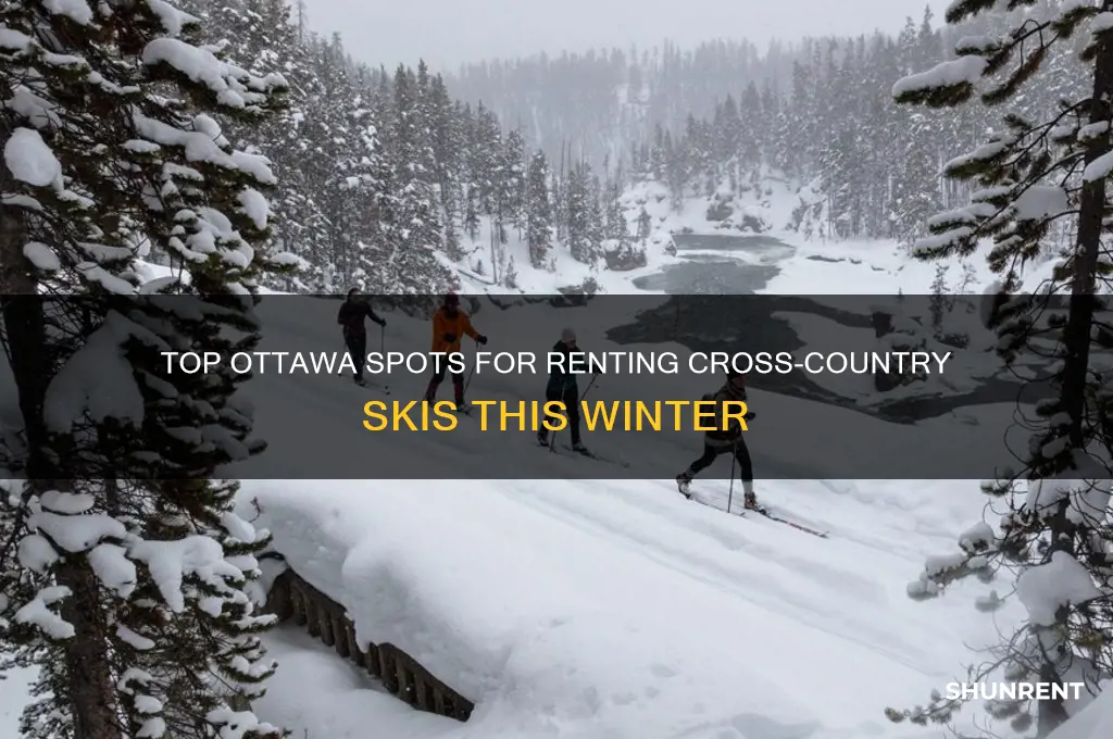 where to rent cross country skis in ottawa