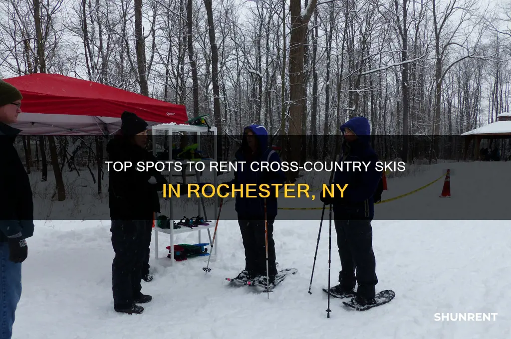 where to rent cross country skis in rochester ny