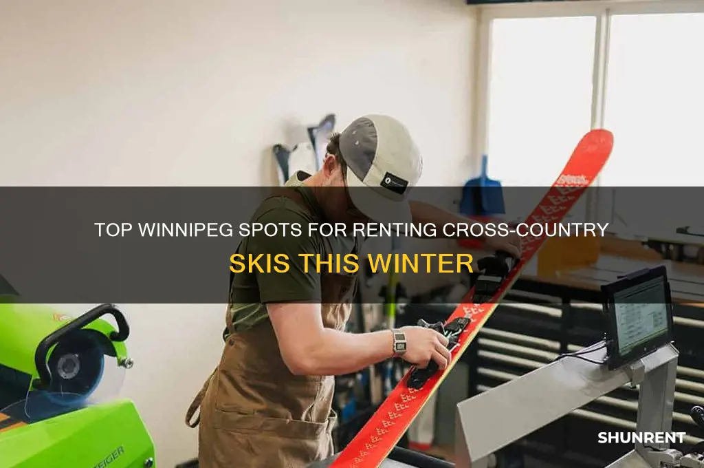 where to rent cross country skis in winnipeg