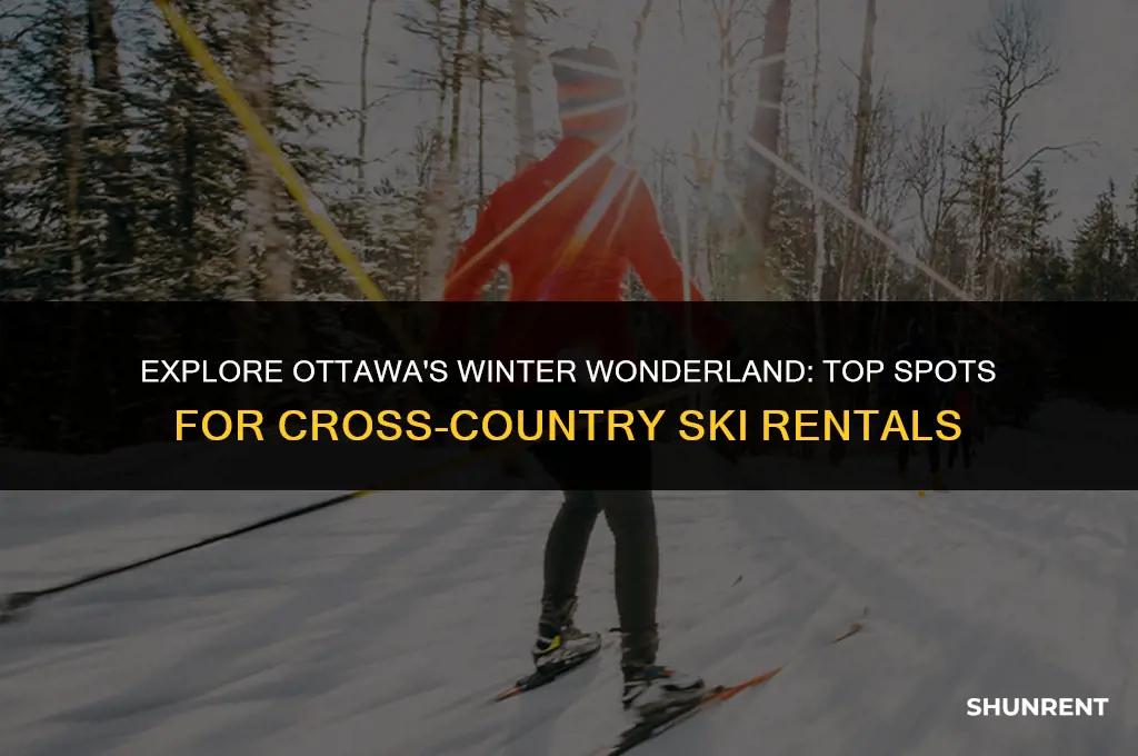 where to rent cross country skis ottawa
