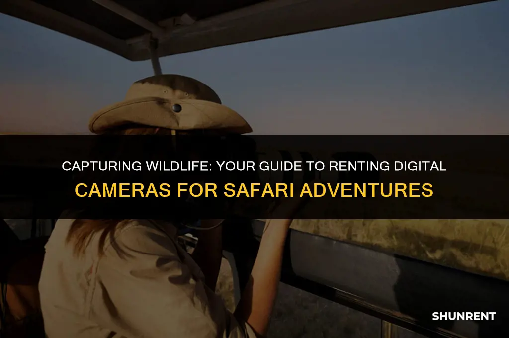 where to rent digtial camera for safari
