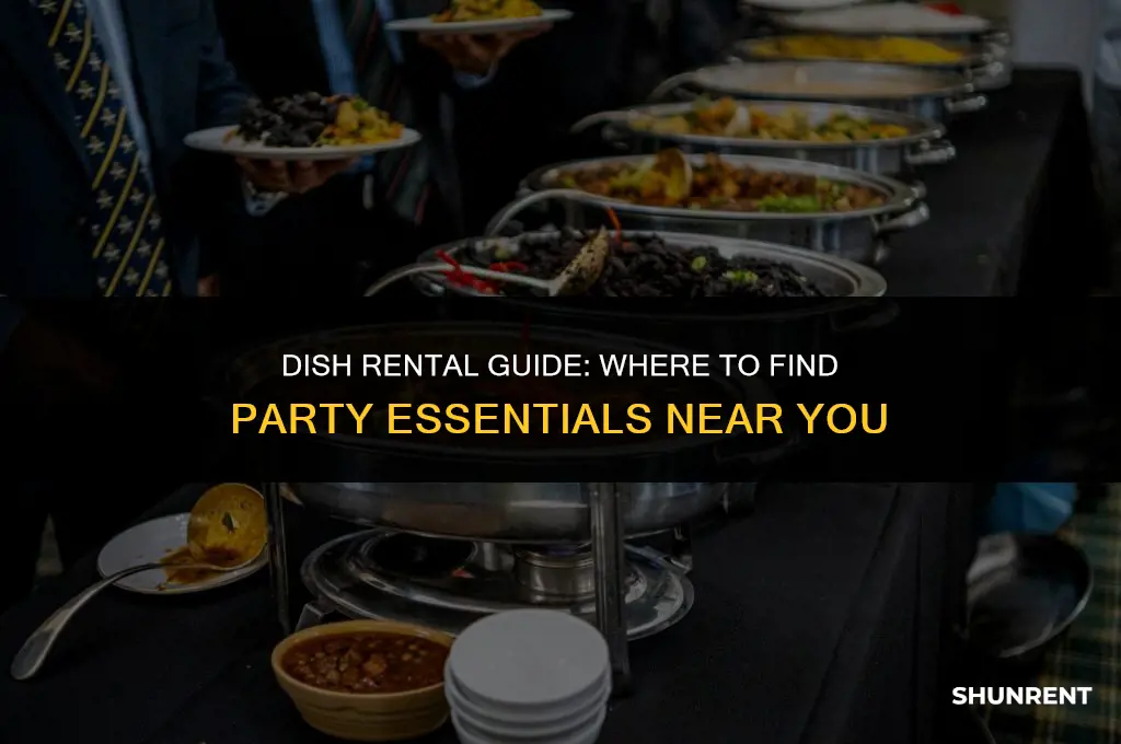 where to rent dishes for a party