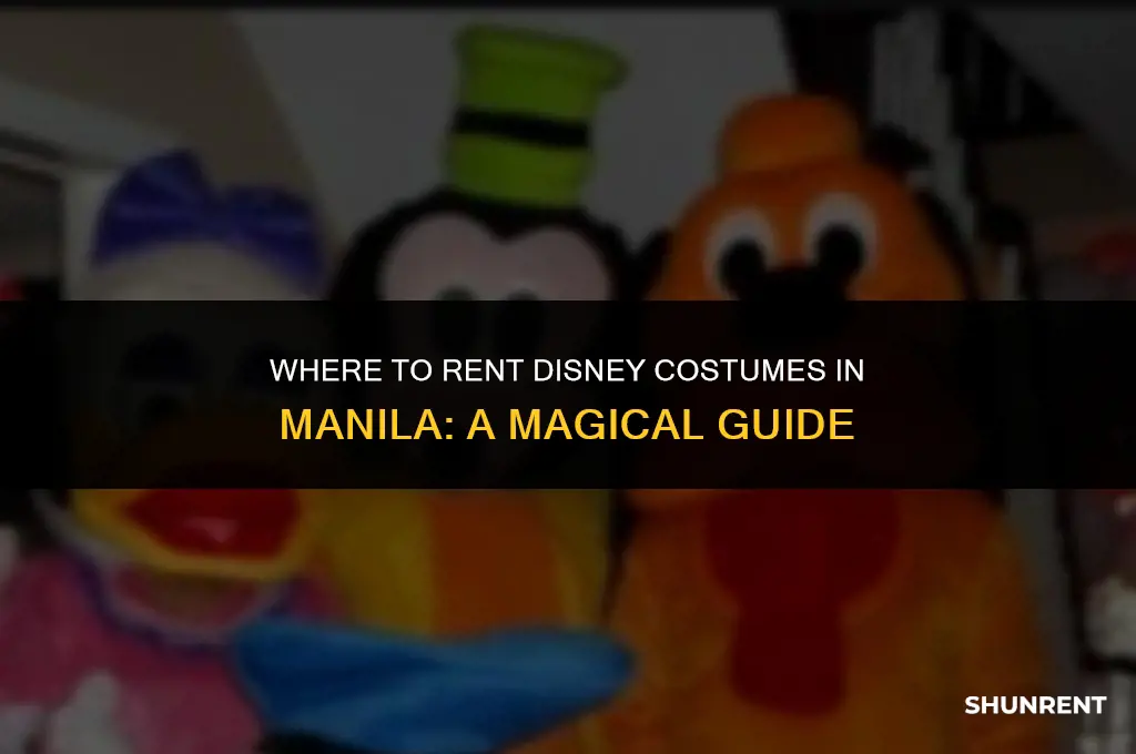 where to rent disney costumes in manila