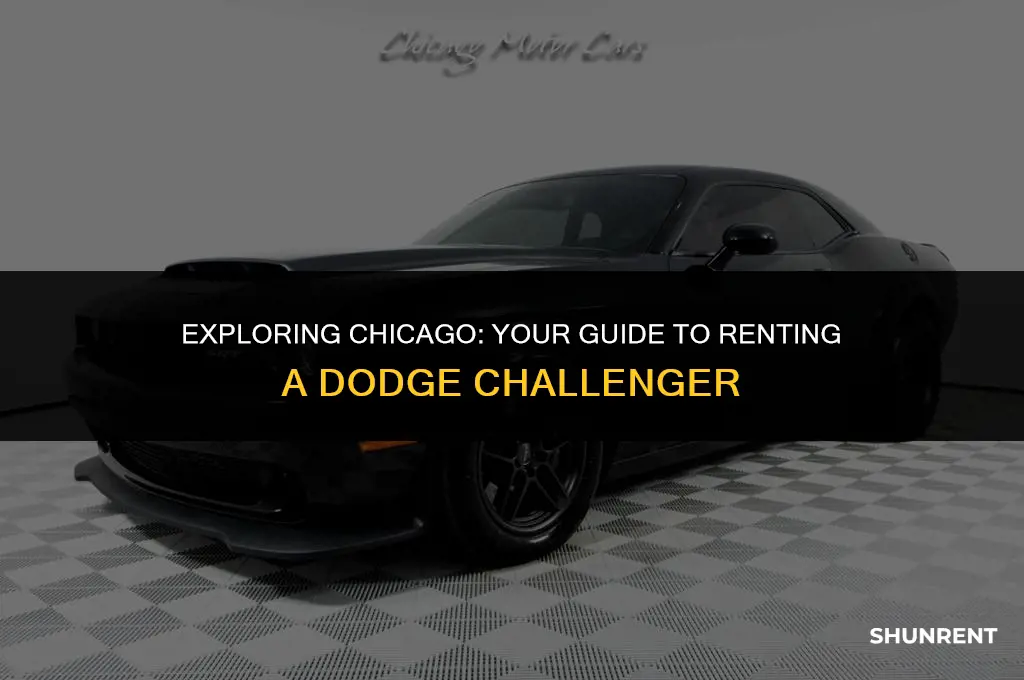 where to rent dodge challenger in chicago