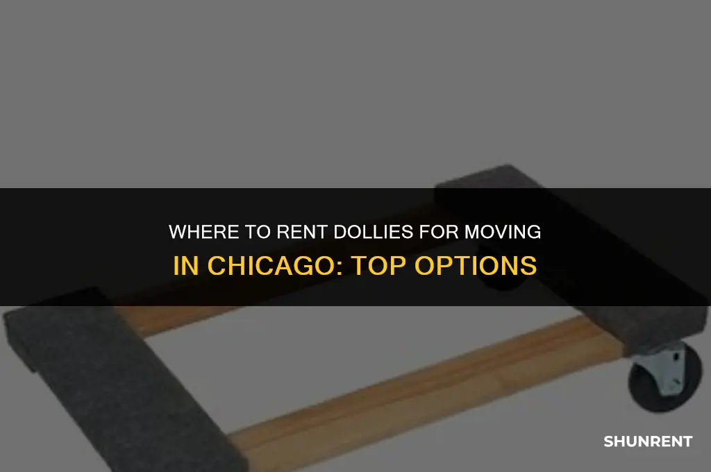 where to rent dollys for moving chicago