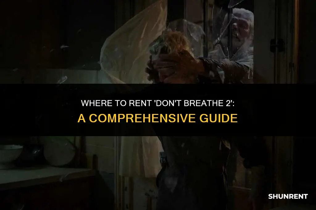 where to rent don