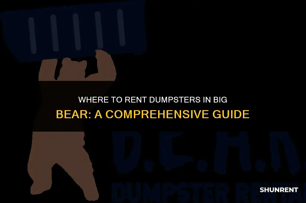 where to rent dumpstersm in big bear