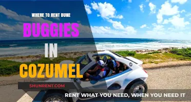 Explore Cozumel: Your Guide to Renting Dune Buggies for an Unforgettable Adventure
