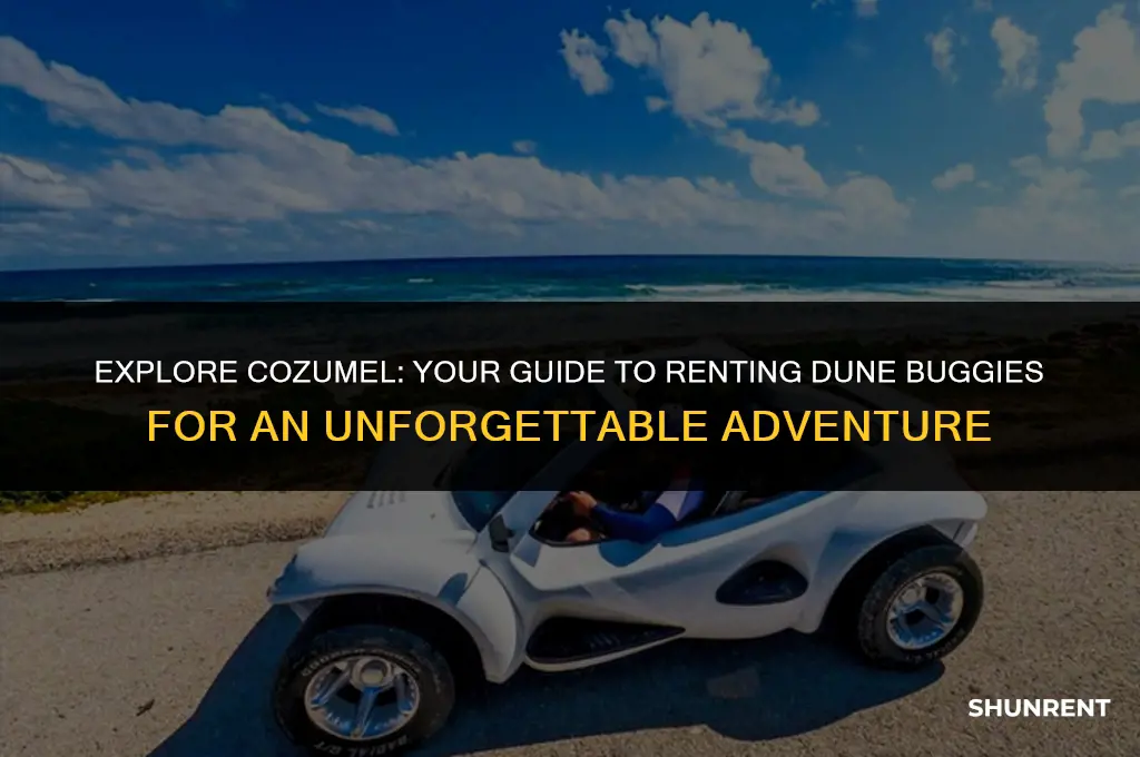 where to rent dune buggies in cozumel