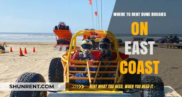 Top East Coast Dune Buggy Rental Spots for Adventure Seekers