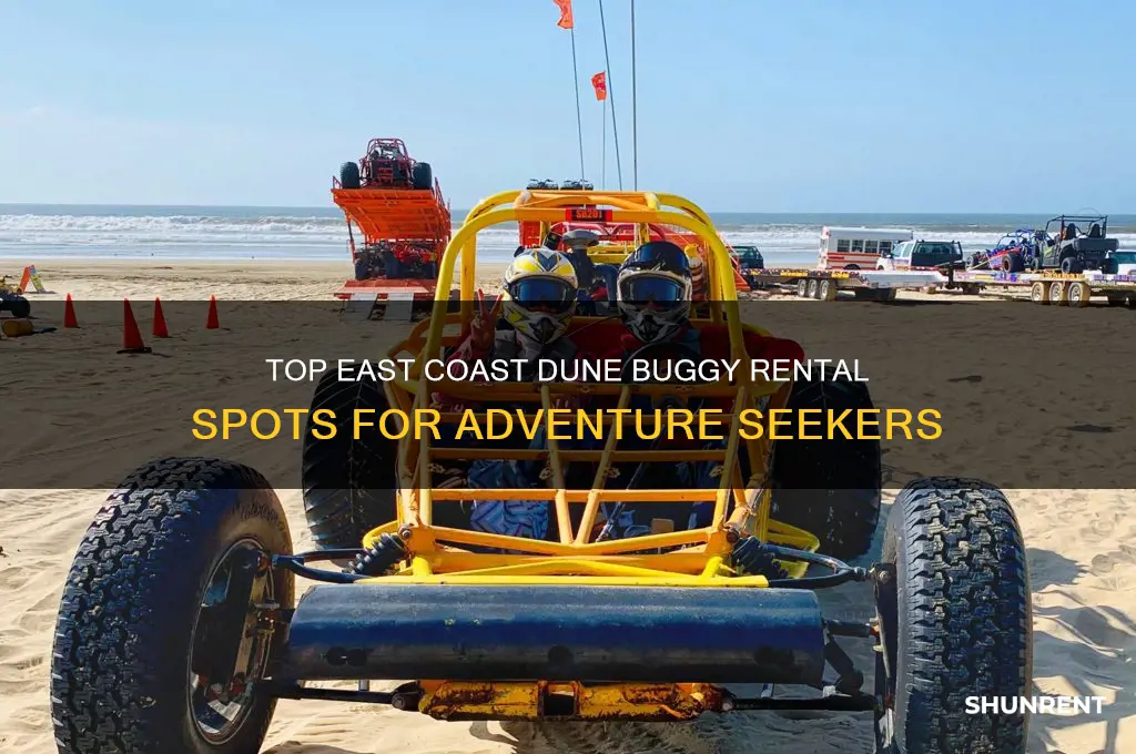 where to rent dune buggies on east coast