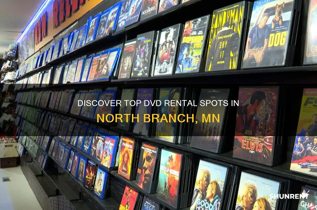 where to rent dvd in north branch mn