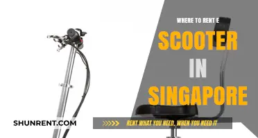 Scooter Rentals in Singapore: Your Ultimate Guide to Eco-Friendly Transportation